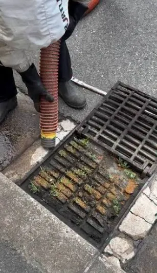 Storm drain cleaning by Rodri's Rooter LLC