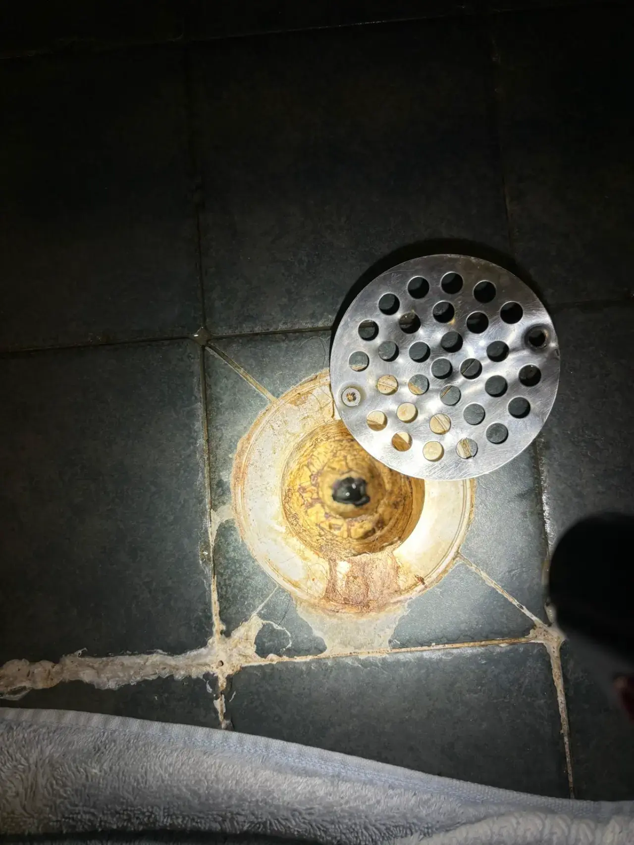 Why Does Water Back Up in My Shower When I Flush the Toilet