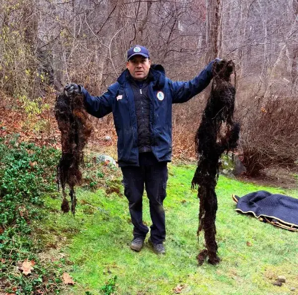 Root, Grease & Sludge Removal in Connecticut